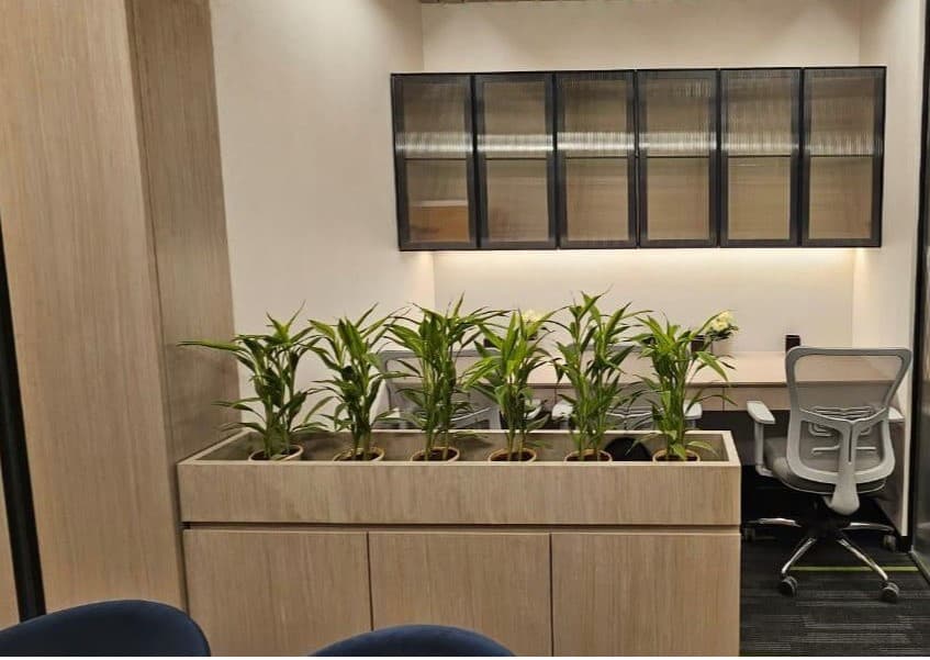 Commercial Office detail 3